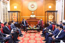越南祖国阵线中央委员会主席裴氏明怀亲切接见了中国驻越南大使何炜。图自越通社