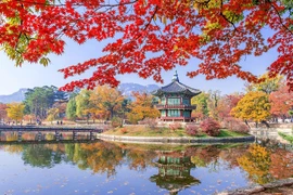 韩国红叶季之美。图自越南人民报