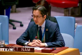 越南常驻联合国代表团团长杜雄越。图自越通社