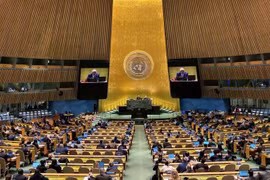 联合国大会在美国纽约召开的一场会议场景。图自越通社
