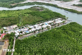 芹耶县盛安岛乡天连（Thiềng Liềng）村一角。图自越通社