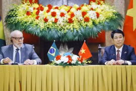 越南国家主席梁强与巴西总统卢拉共同会见记者。图自越通社