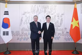 苏林总书记与李在明总统合影。图自越通社
