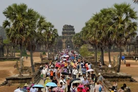 柬埔寨暹粒吴哥窟。图自越通社
