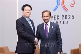 越南国家主席梁强会见文莱达鲁萨兰国苏丹哈吉·哈桑纳尔·博尔基亚。图自越通社
