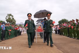 在柬牺牲的越南志愿军和专家烈士遗骸归国迎接仪式。图自越通社