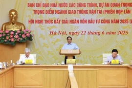 范明政总理发言。图自越通社