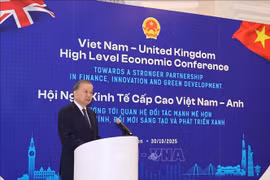 越共中央总书记苏林在越英高级经济官员会议上发言。图自越通社