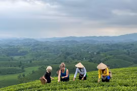 山罗省全力推进旅游业数字化转型。图自互联网