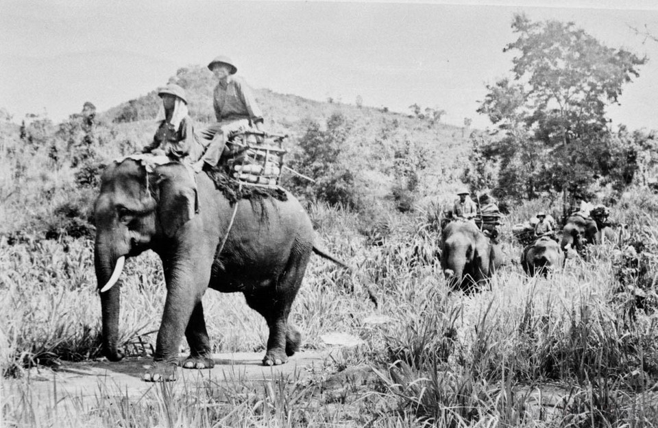 在西原战役中，越南军队不仅建立了具备合成兵种作战能力的力量，还精心准备了后勤和技术保障力量。图中：嘉莱省第250单位的运输部队正在将物资运往战场。图自越通社