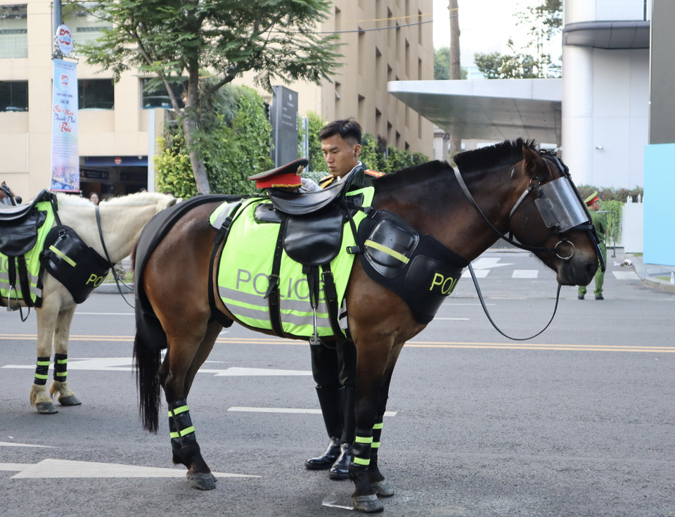 骑兵战士为纪念南方解放、国家统一50周年庆典阅兵、游行活动总彩排做准备。图自 越通社