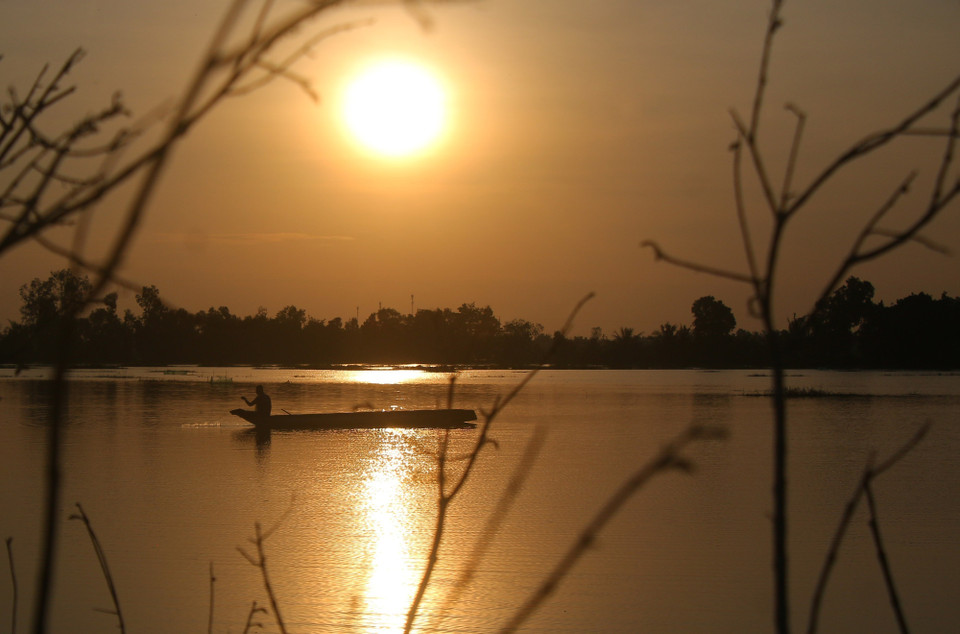 在芹苴市永远乡的汛期田野上放簖捕鱼。图自越通社