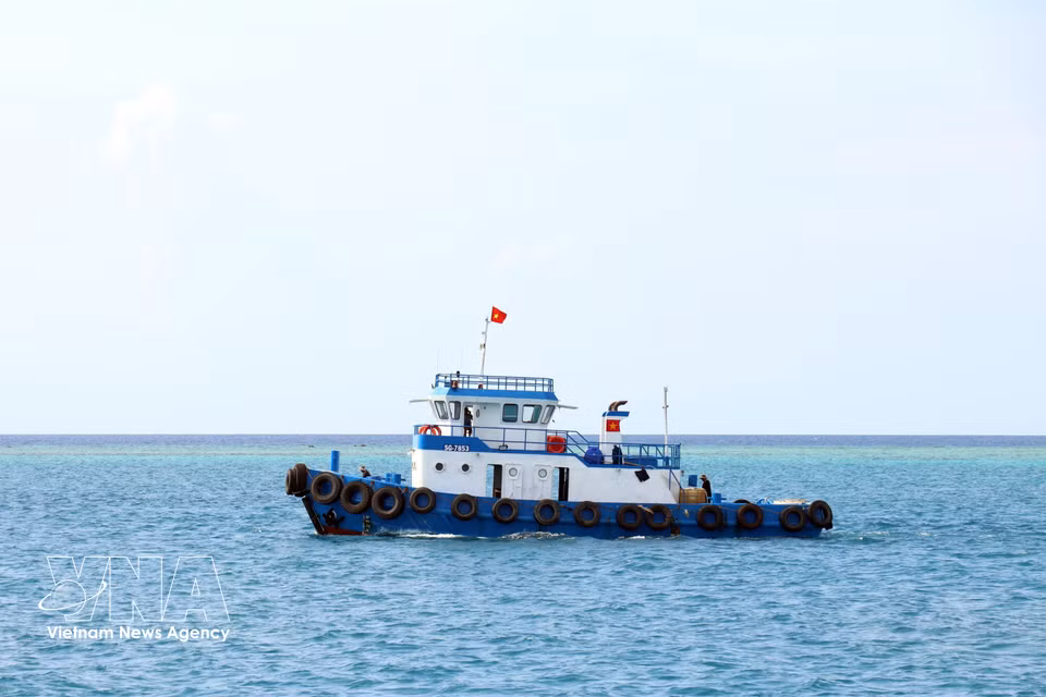 越南国旗迎风飘扬的画面，激发起民族自豪感，也彰显了祖国神圣的海洋岛屿主权。图自越通社