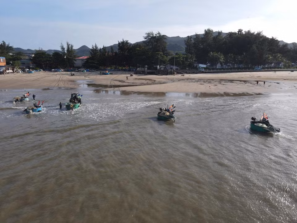 隆海渔民的竹篮船在海上捕捞叶鲱数小时后，熙熙攘攘地靠岸。图自越通社