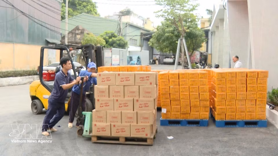 越南军队后勤技术部门力量正在装运援助委内瑞拉的救灾物资、粮食和食品。图自：越通社