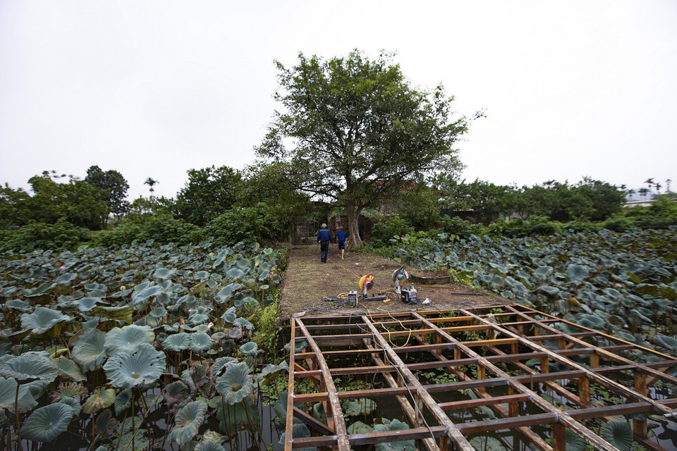 伯蓝村村民在遗址范围内兴建住宅和果园，正在不断破坏古城遗迹的痕迹。图自越通社