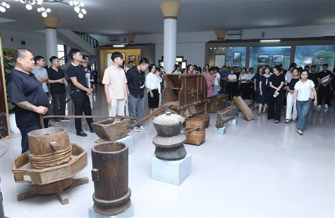 截至今年，凭借多样的旅游类型、优美的景观和独特的文化，谅山省接待游客375万人次，旅游收入约达3.566万亿越盾，同比增长12.2%。图为：游客在谅山省博物馆参观了解谅山省风土人情。图自越通社