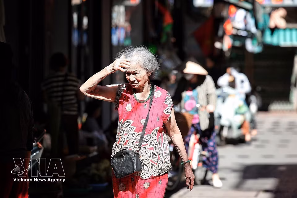 高温天气对老年人身体健康造成较大影响。图自越通社