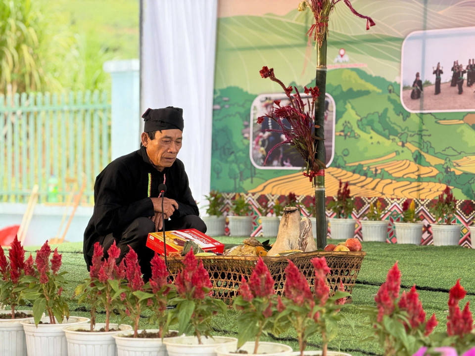 鸡冠花是贡族传统节日中具有象征性意义的代表花。图自越通社