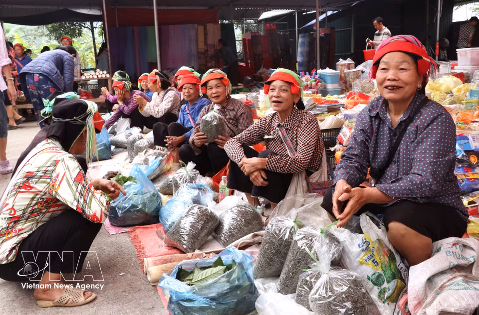 在售卖农产品的摊位区，气氛始终欢快活跃，充满了当地的乡土气息。图自越通社