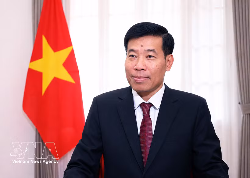 越共中央委员、外交部常务副部长阮孟强 图自越通社