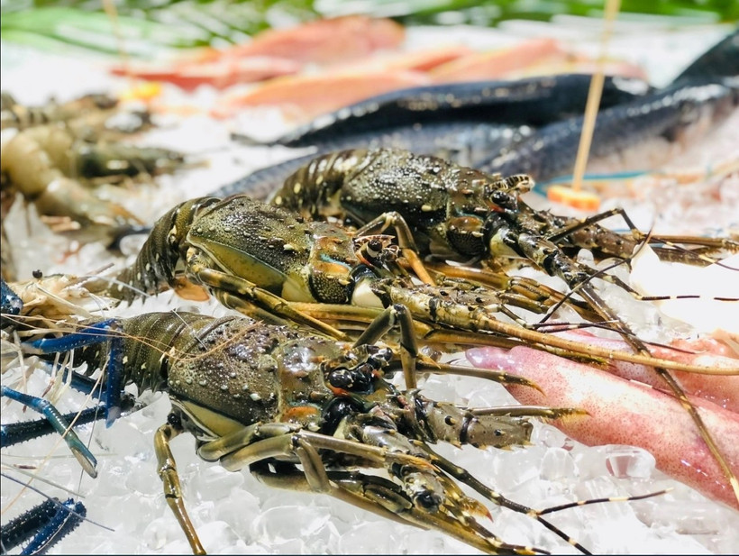 越南虾出口迎来“双重利好”