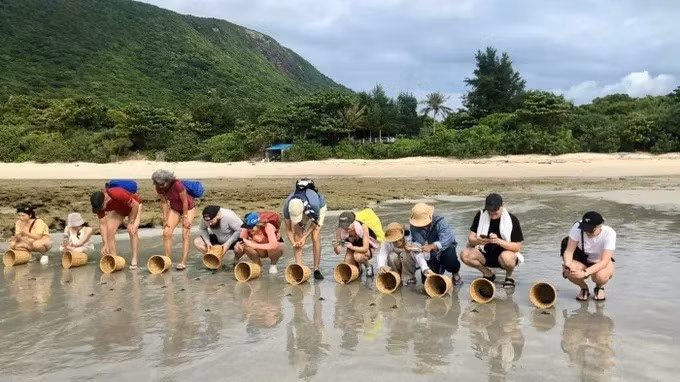 外国游客在胡志明市昆岛参加放归小海龟入海之旅，感到无比兴奋。图自sggp.org.jpg
