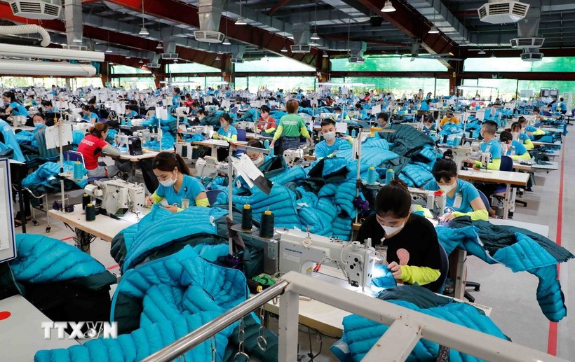 在Maxport服装公司，工人们正在缝制出口欧美市场的服装。图自越通社