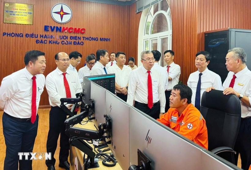 与会代表参观智能电网建设工程 图自越通社