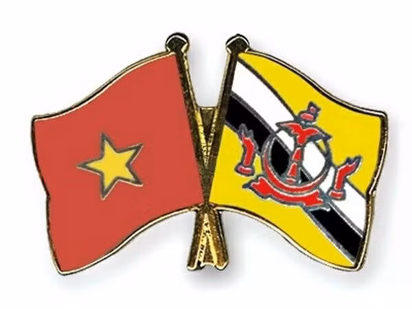 附图 图自crossed-flag-pins.com