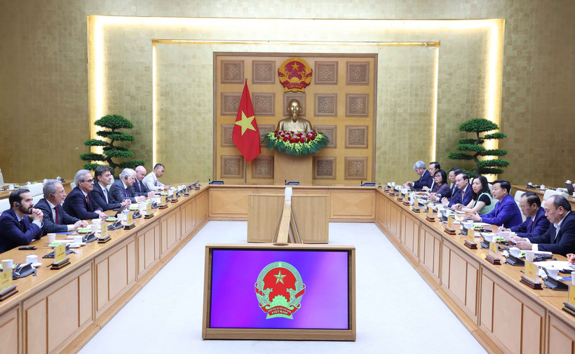 陈红河与欧委会IUU检查团举行工作会谈 图自越通社 