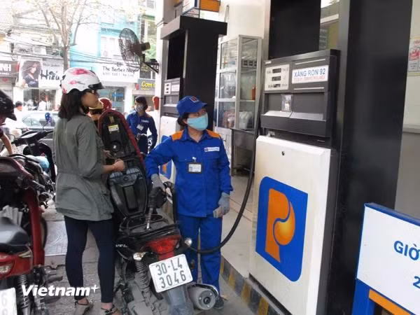 附图。图自越通社