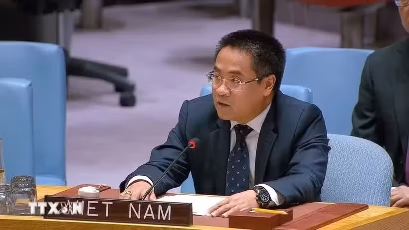 越南常驻联合国代表团副团长阮海流公使。图自越通社