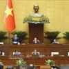 国会副主席阮鸿延发表讲话 图自越通社