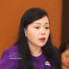 原卫生部长阮氏金进 图自越通社