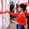 首次参加投票的芒族选民正在认真研究代表候选人的履历信息。图自越通社