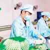 越南Vina T&T集团出口水果包装现场。图自越通社