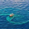 全力解除 IUU“黄牌”：迈向负责任的渔业发展 