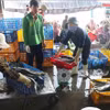 商贩在洪鱼港买卖海鲜 图自越通社