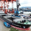2.2万吨级船舶驶入朱莱港进行货物装卸。图自越通社