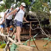 外国游客在越南西部水乡体验“猴桥”，感受独具特色的乡村旅游。（图片来源：越通社）