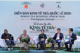 2026年国际差经济论坛在太原省举行。图自越通社