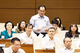 第十六届国会第二次会议：农业与环境部长就防灾减灾和生物技术发展作说明报告。图自越通社