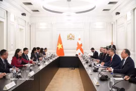 格鲁吉亚总统米哈伊尔·卡韦拉什维利会见越南国家副主席武氏映春。图自越通社