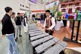 参观者在同奈省旅游展位欣赏石琴演奏。图自越通社