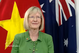 澳大利亚驻越南大使吉莉安·伯德（Gillian Bird）接受越通社记者采访。图自越通社