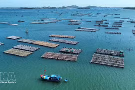 海洋养殖——越南海洋经济的新动力