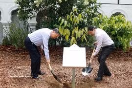 新加坡总理黄循财与越共中央总书记、国家主席苏林在两国部分代表的见证下共同植树。图自越通社