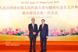 2025年8月31日，越南国会主席陈青敏与中国全国人大常委会委员长赵乐际在河内共同主持越南国会与中国全国人大联合委员会第一次会议。图自越通社
