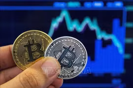 附图 图自越通社